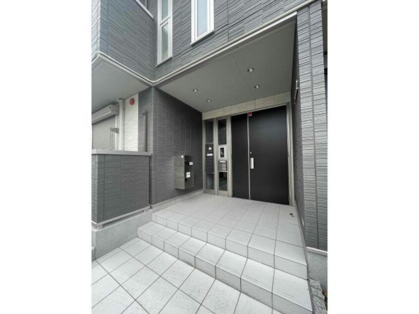  パレドールモア