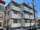  アナシエ亀有