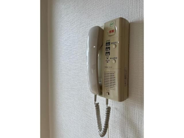  ロイヤルアヤセ