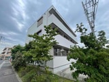 ニューサンハイム