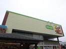 コープ亀有店(スーパー)まで529m セレスティア亀有