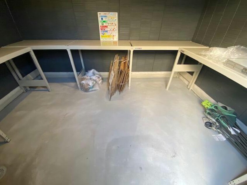  セレスティア白鳥