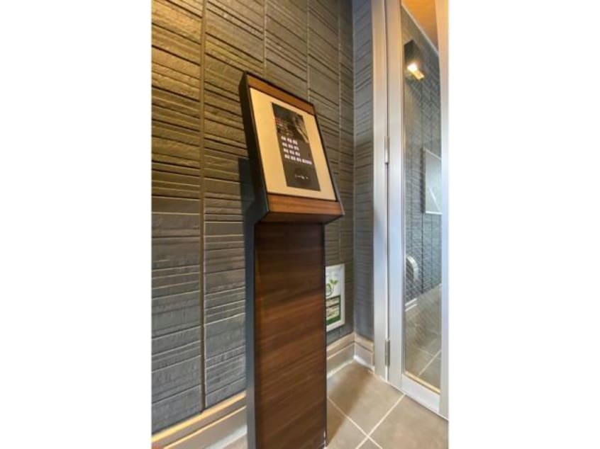  セレスティア白鳥