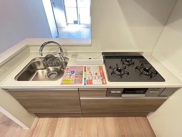  セレスティア白鳥