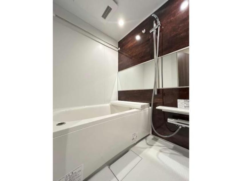  セレスティア白鳥