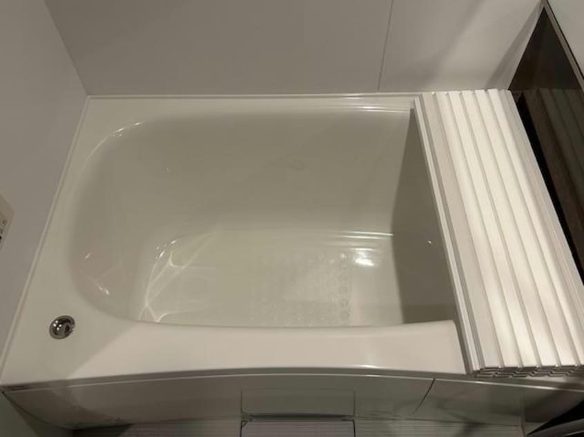  セレスティア白鳥