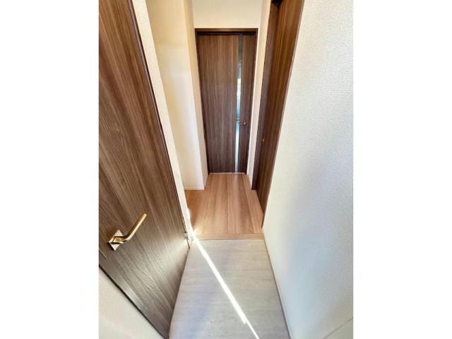  セレスティア白鳥