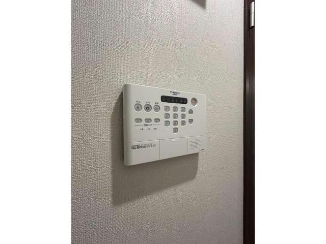  セレスティア白鳥