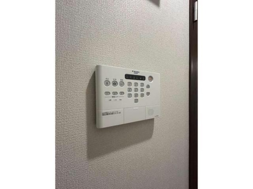  セレスティア白鳥