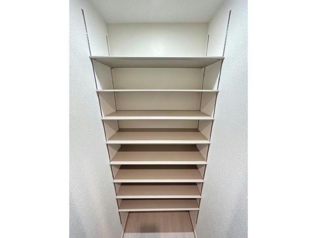  セレスティア白鳥