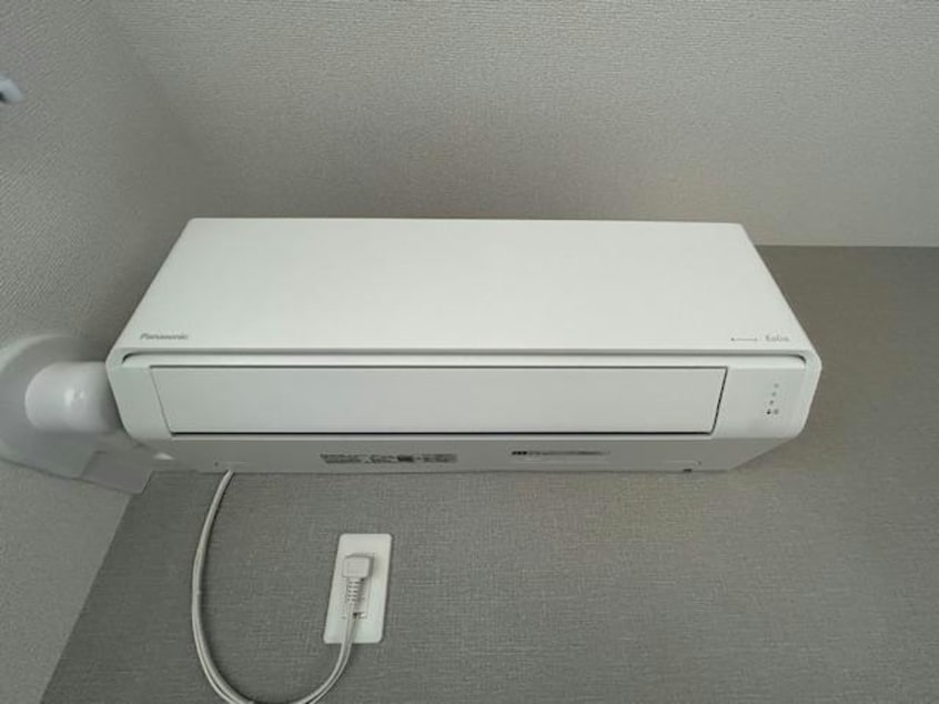  セレスティア白鳥