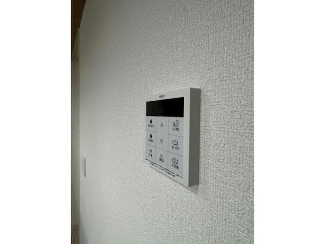  セレスティア白鳥