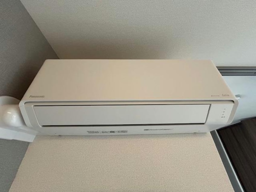  セレスティア白鳥