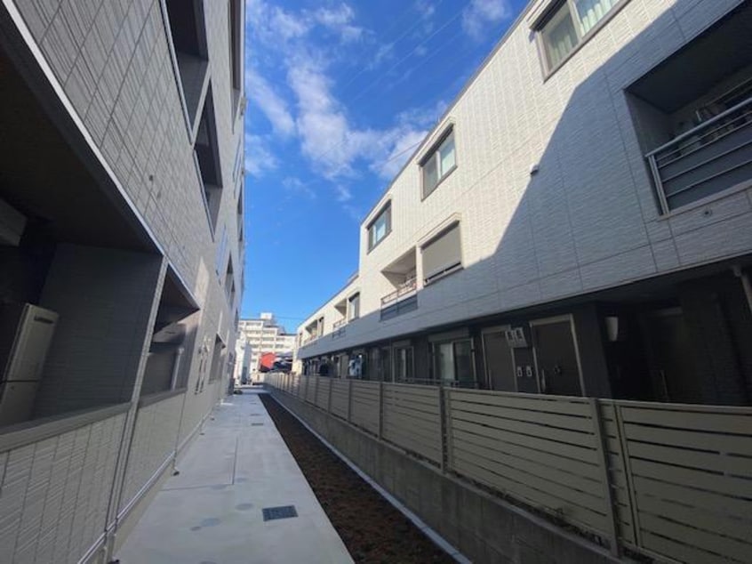  セレスティア白鳥