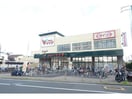 コモディイイダ小菅店(スーパー)まで618m ネコットマリー
