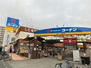 ホームセンターコーナンドイト西新井店(電気量販店/ホームセンター)まで1044m 東武西新井第一サンライトマンション