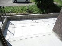  ビニグリーン末広