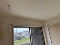  ビニグリーン末広