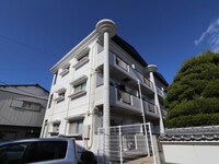 ｼｭﾗｲﾝｱｸｱ･ｿﾌｨｱ