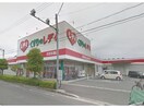 くすりのレデイ田宮街道店(ドラッグストア)まで745m※ドラックストアー レディ薬局 ｼｭﾗｲﾝｱｸｱ･ｿﾌｨｱ