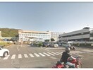 国立徳島大学医学部(大学/短大/専門学校)まで1297m タウンハイツ
