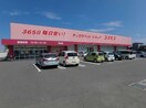 ディスカウントドラッグコスモス住吉店(ドラッグストア)まで1082m ロイヤルハイツ大島