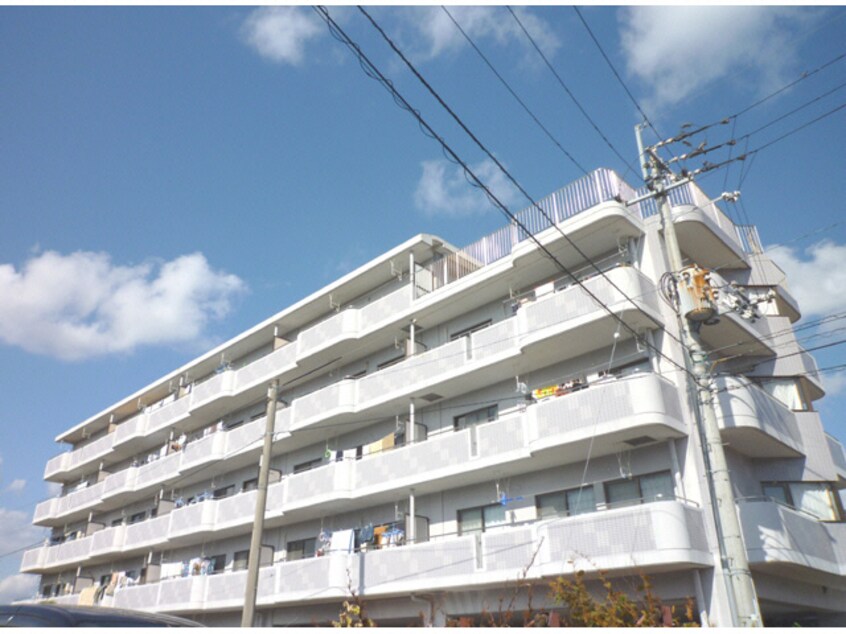  牟岐線/中田駅 バス10分大神子口下車:停歩2分 3階 築28年