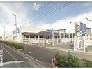 ホームセンターコーナン徳島住吉店(電気量販店/ホームセンター)まで510m セジュール住吉