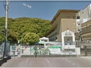 四国大学附属乳児保育所(幼稚園/保育園)まで366m 伊賀ハイツ