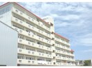 徳島線/蔵本駅 徒歩25分 6階 築37年の外観