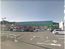 ディスカウントドラッグコスモス八万店(ドラッグストア)まで935m 牟岐線/二軒屋駅 徒歩15分 2階 築41年