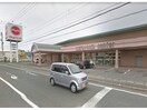 マルヨシセンター国府店(スーパー)まで1229m 佐野アパート