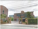 私立徳島文理大学(大学/短大/専門学校)まで726m リファインハイツ
