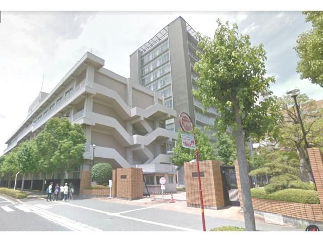 私立徳島文理大学短期大学部(大学/短大/専門学校)まで1034m パールメゾンⅡ