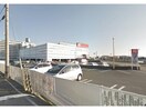 ケーズデンキ徳島沖洲店(電気量販店/ホームセンター)まで1556m リバーサイド南末広六番館