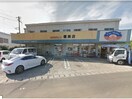 全日食チェーン榎瀬店(スーパー)まで1191m 徳島市営バス/古川 徒歩10分 1階 築26年