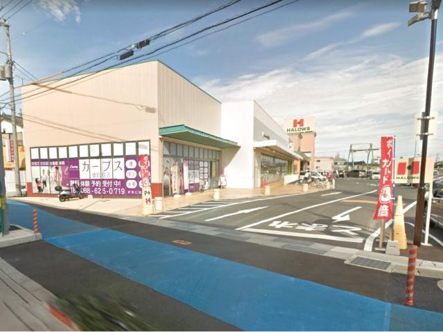 ハローズ住吉店(スーパー)まで831m 第２クレッシェンド戸川