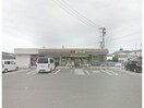 ミニストップ徳島末広店(コンビニ)まで795m ヒューマンスペースⅡ