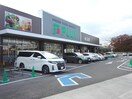 フジ中吉野店(スーパー)まで1136m※フジ中吉野食品店 オイケマンション