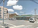ファミリーマート秋田町店(コンビニ)まで586m サンライト富田橋