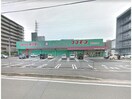 ディスカウントドラッグコスモス南末広店(ドラッグストア)まで862m 徳島市営バス/安宅二丁目 徒歩8分 3階 築33年