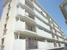 徳島市営バス/昭和町七丁目 徒歩5分 4階 築45年の外観