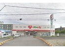 くすりのレデイ新浜店(ドラッグストア)まで679m マルハⅡ番館