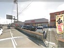 ファッションセンターしまむら津田店(ショッピングセンター/アウトレットモール)まで360m 徳島市営バス/第一病院前 徒歩1分 4階 築18年