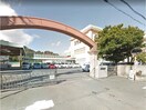 徳島市立津田小学校(小学校)まで775m 徳島市営バス/第一病院前 徒歩1分 4階 築18年