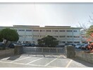 徳島市立八万小学校(小学校)まで2227m 中内住宅
