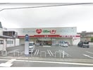 くすりのレデイ矢三店(ドラッグストア)まで713m エムズ壱番館