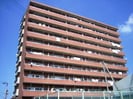 牟岐線/地蔵橋駅 徒歩5分 3階 築31年の外観