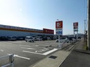  牟岐線/二軒屋駅 徒歩11分 2階 築2年