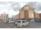キョーエイ沖浜店(スーパー)まで971m 牟岐線/二軒屋駅 徒歩11分 2階 築2年